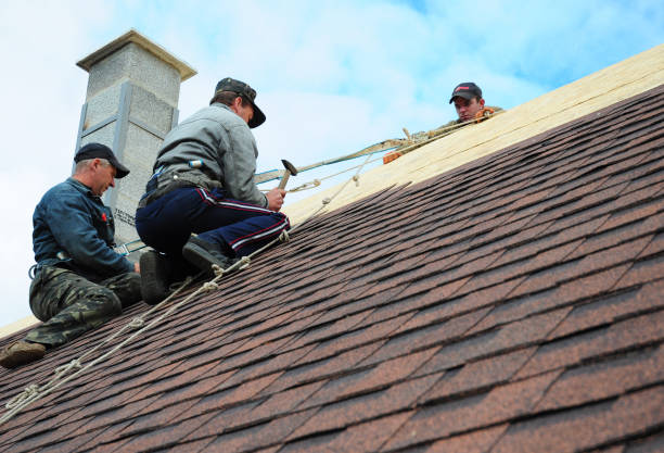 Best New Roof Installation  in Riverdale Park, MD